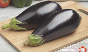 Баклажаны — полезные свойства и противопоказания