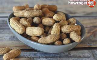 Арахис во время беременности — польза и вред