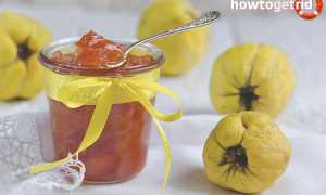 Джем из айвы: самые вкусные рецепты приготовления