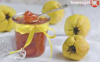 Джем из айвы: самые вкусные рецепты приготовления