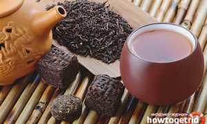 Чай пуэр — полезные свойства и противопоказания