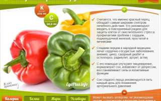 Болгарский перец при беременности — польза и вред