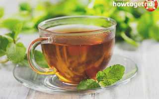 Чай с мятой — польза и вред для мужчин и женщин