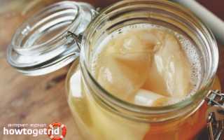 Чайный гриб — полезные свойства и противопоказания