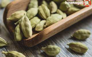 Чем полезен кардамон для женщин и мужчин?