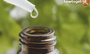 Эфирное масло кардамона: свойства и применение