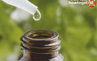 Эфирное масло кардамона: свойства и применение