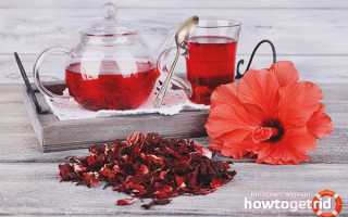 Чай каркаде при беременности — польза и вред