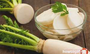 Дайкон — польза и вред для здоровья организма