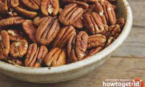 Чем полезен орех пекан для мужчин и женщин