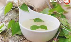 Березовый сок — польза и вред для здоровья