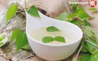 Березовый сок — польза и вред для здоровья