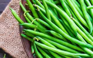Что будет, если каждый день есть стручковую фасоль