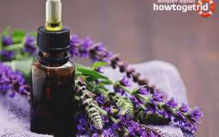 Эфирное масло лаванды: свойства и применение