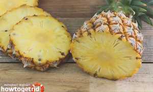 Ананас для похудения — польза и применение