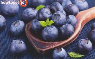 Чем полезна черника для организма человека