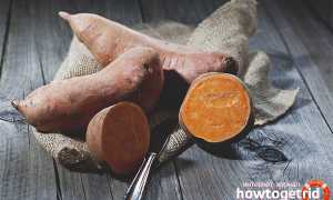 Чем полезен батат для здоровья организма