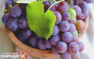 Чем полезен виноград для организма человека