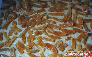 Цукаты из апельсиновых корок — рецепты