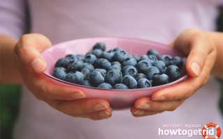 Черника при сахарном диабете: польза и вред