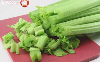 Что можно приготовить из сельдерея