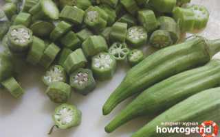 Бамия — полезные свойства и противопоказания