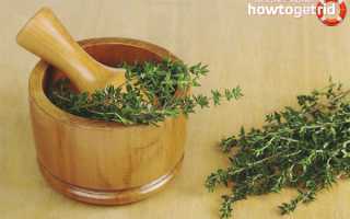 Чабрец — лечебные свойства и противопоказания