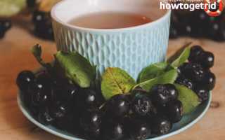 Чай из черноплодной рябины: рецепты приготовления