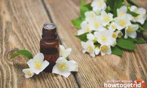 Эфирное масло жасмина для лица — польза и применение