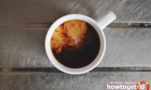 Черный чай с молоком — польза и вред