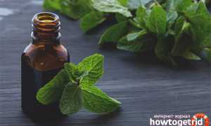 Эфирное масло мяты — свойства и применение