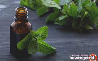 Эфирное масло мяты — свойства и применение