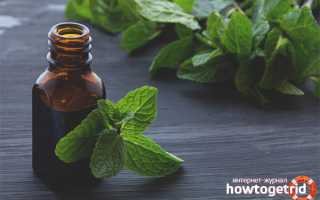 Эфирное масло мяты для волос — польза и применение
