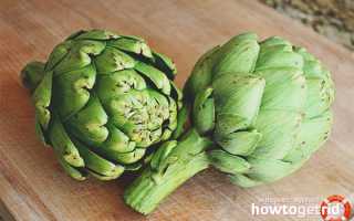 Артишок — полезные свойства и противопоказания