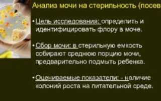 Анализ мочи на стерильность