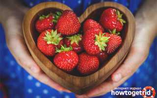 Чем полезна клубника для организма человека