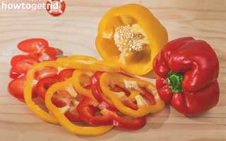 Чем полезен болгарский перец для организма