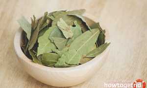 Чем полезен лавровый лист для организма человека