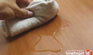 Чем убрать запах кошачьей мочи?