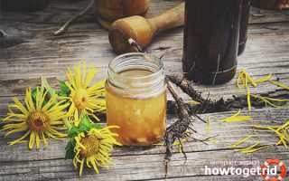 Девясил — лечебные свойства и противопоказания