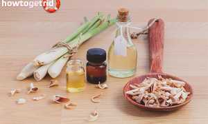 Эфирное масло лемонграсса — свойства и применение