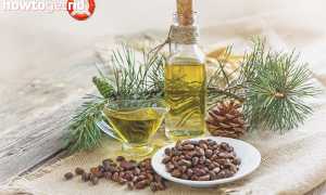 Чем полезно кедровое масло?