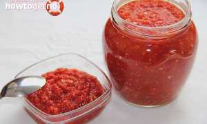 Аджика — польза и вред для здоровья организма