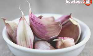 Чем полезен чеснок для организма женщины?