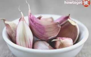 Чем полезен чеснок для организма женщины?