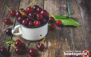 Черешня — полезные свойства и противопоказания