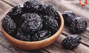 Чернослив во время беременности — польза и вред