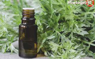 Эфирное масло полыни — свойства и применение