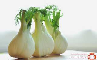 Фенхель для похудения: польза и применение