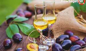 Домашнее вино из сливы: рецепты приготовления